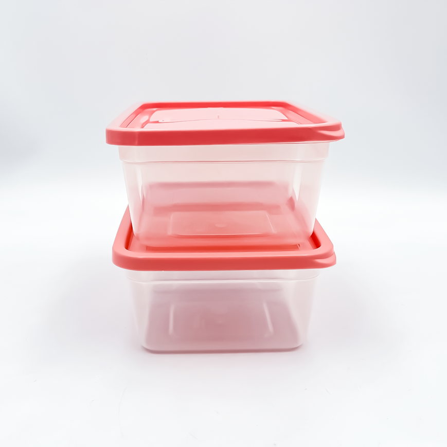 KIT 2 CONTENEDORES CON DIVISIONES JAGUAR